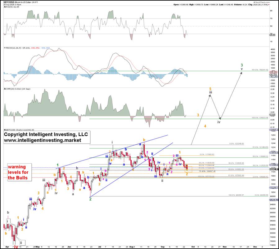 The Elliott Wave Count Indicates Bitcoin\