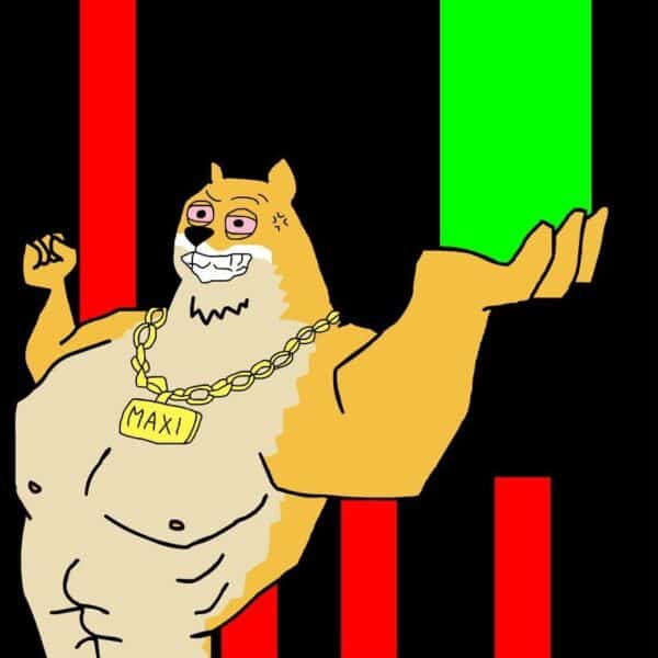 Meme Coins\