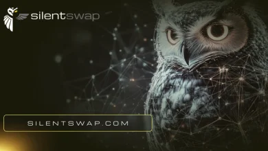 选择性透明: Web3隐私基础设施实现机构规模的关键