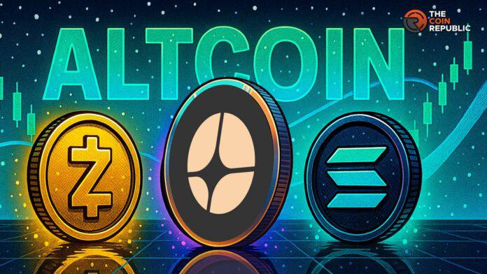 12月挑战圣诞行情，这三大山寨币值得密切关注。