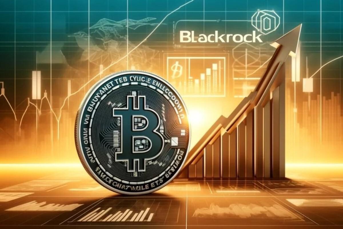 感恩节比特币（BTC）飙升：究竟是真实的牛市还是巨大泡沫？